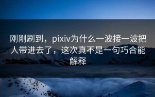 刚刚刷到，pixiv为什么一波接一波把人带进去了，这次真不是一句巧合能解释