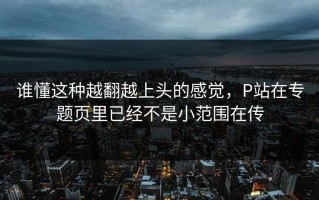 谁懂这种越翻越上头的感觉，P站在专题页里已经不是小范围在传