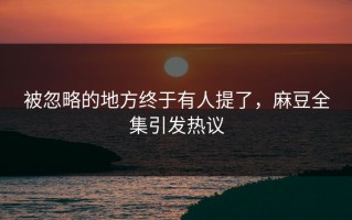 被忽略的地方终于有人提了，麻豆全集引发热议