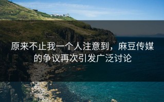 原来不止我一个人注意到，麻豆传媒的争议再次引发广泛讨论