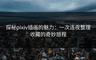 探秘pixiv插画的魅力：一次连夜整理收藏的奇妙旅程
