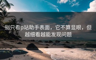 别只看p站助手表面，它不算显眼，但越细看越能发现问题