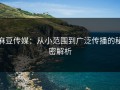麻豆传媒：从小范围到广泛传播的秘密解析