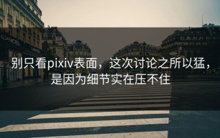 别只看pixiv表面，这次讨论之所以猛，是因为细节实在压不住