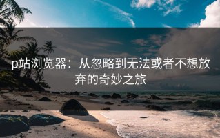p站浏览器：从忽略到无法或者不想放弃的奇妙之旅