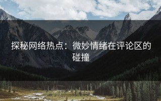 探秘网络热点：微妙情绪在评论区的碰撞