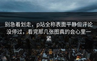 别急着划走，p站全称表面平静但评论没停过，看完那几张图真的会心里一紧