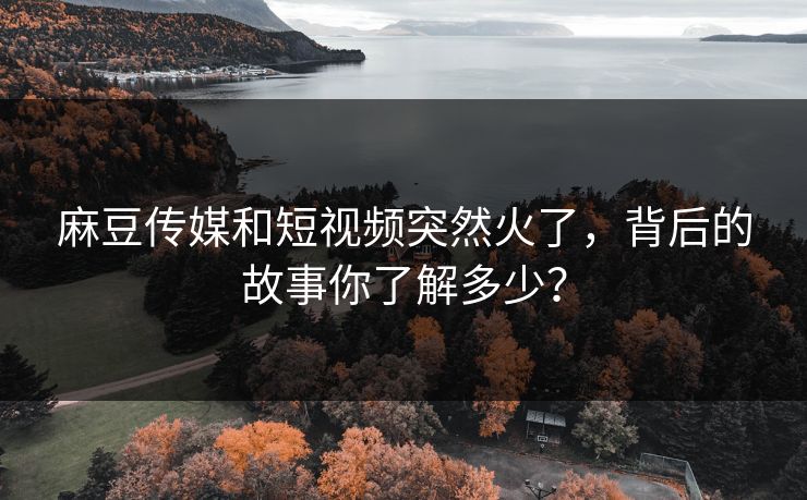 麻豆传媒和短视频突然火了,背后的故事你了解多少?-第1张图片-p站短视频 - p站助手精选网 麻豆传媒和短视频突然火了,背后的故事你了解多少?-第1张图片-p站短视频 - p站助手精选网