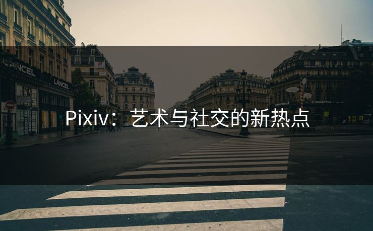 Pixiv：艺术与社交的新热点-第1张图片-p站短视频 - p站助手精选网