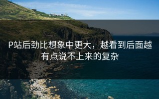 P站后劲比想象中更大，越看到后面越有点说不上来的复杂