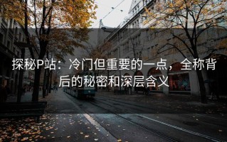 探秘P站：冷门但重要的一点，全称背后的秘密和深层含义