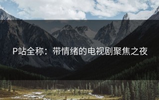 P站全称：带情绪的电视剧聚焦之夜